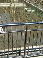 202009171426310341664