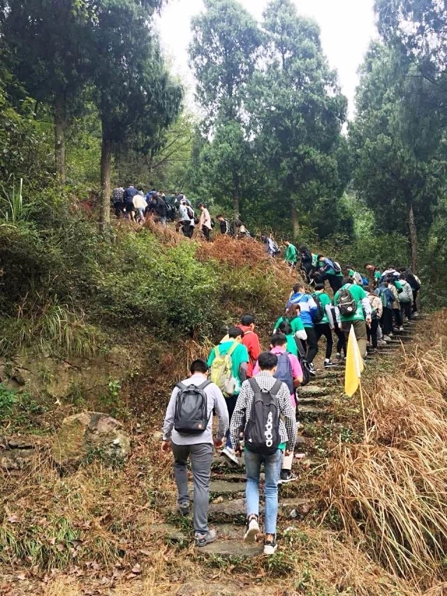 1509958723131793.jpg 8.jpg